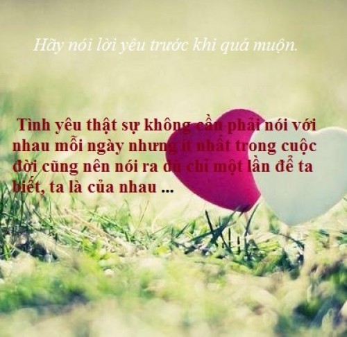 tuyen-tap-nhung-cau-noi-khong-the-nao-hay-hon-ve-tinh-yeu-doi-lua-ma-neu-bo-qua-nhat-dinh-ban-se-hoi-han-1