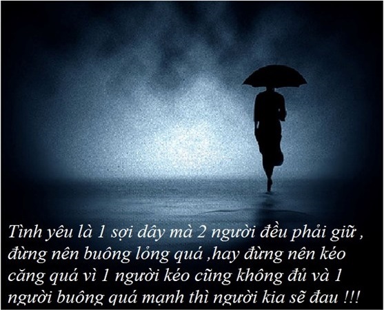 tuyen-tap-nhung-cau-noi-khong-the-nao-hay-hon-ve-tinh-yeu-doi-lua-ma-neu-bo-qua-nhat-dinh-ban-se-hoi-han-2