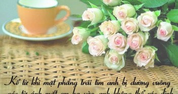 Tuyển tập những câu nói siêu hay về tình yêu hạnh phúc bằng hình ảnh mà bạn nên biết-11