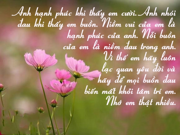 tuyen-tap-nhung-cau-noi-sieu-hay-ve-tinh-yeu-hanh-phuc-bang-hinh-anh-ma-ban-nen-biet-14