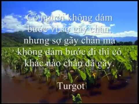 10-cau-noi-cuc-hay-giup-ban-nhan-ra-tron-ven-y-nghia-thuc-su-cua-cuoc-song-3