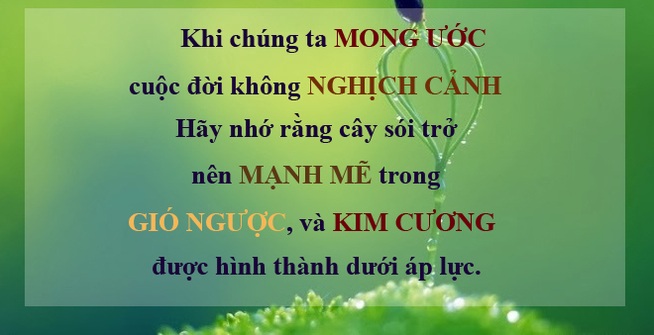 10-cau-noi-cuc-hay-giup-ban-nhan-ra-tron-ven-y-nghia-thuc-su-cua-cuoc-song-8