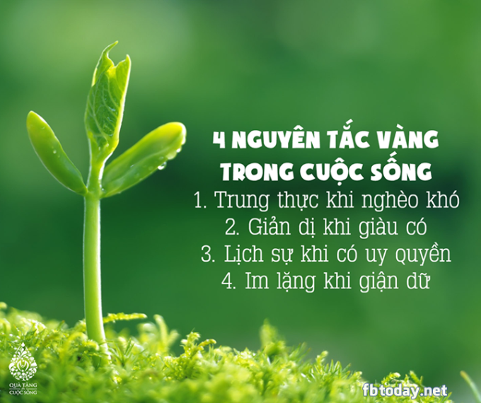 10-cau-noi-cuc-hay-giup-ban-nhan-ra-tron-ven-y-nghia-thuc-su-cua-cuoc-song-9