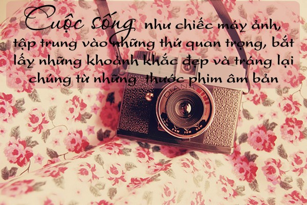 10-cau-noi-hay-y-nghia-bat-hu-nhat-ve-cuoc-song-dang-de-suy-ngam-moi-ngay-2