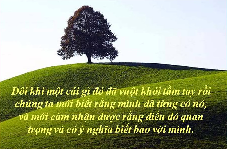 10-cau-noi-hay-y-nghia-bat-hu-nhat-ve-cuoc-song-dang-de-suy-ngam-moi-ngay-4