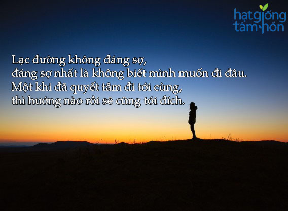 10-cau-noi-ve-cuoc-song-hay-y-nghia-bo-ich-ma-neu-bo-qua-nhat-dinh-ban-se-hoi-han-10