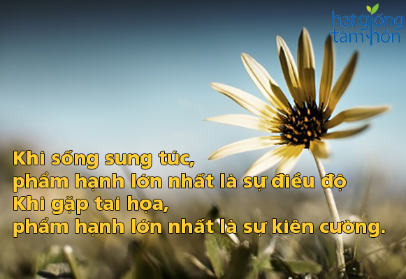 10-cau-noi-ve-cuoc-song-hay-y-nghia-bo-ich-ma-neu-bo-qua-nhat-dinh-ban-se-hoi-han-3