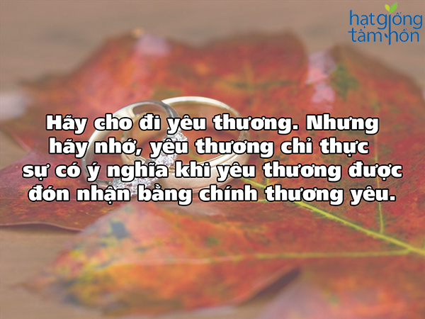 10-cau-noi-ve-cuoc-song-hay-y-nghia-bo-ich-ma-neu-bo-qua-nhat-dinh-ban-se-hoi-han-4