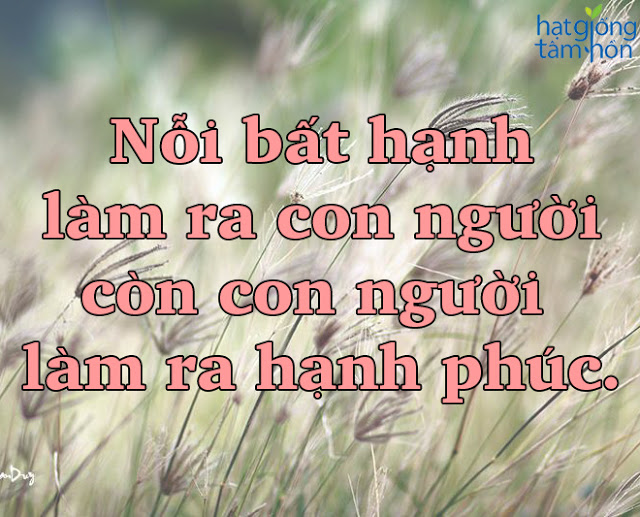 10-cau-noi-ve-cuoc-song-hay-y-nghia-bo-ich-ma-neu-bo-qua-nhat-dinh-ban-se-hoi-han-7