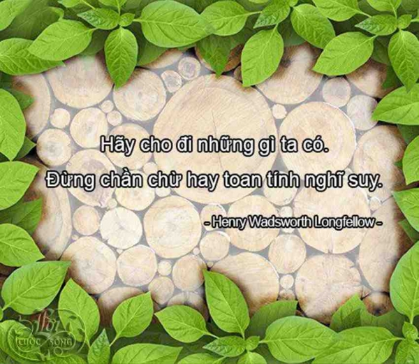 10-cau-noi-ve-cuoc-song-hay-y-nghia-dang-suy-ngam-nhat-dinh-se-khien-ban-song-tot-hon-moi-ngay-2