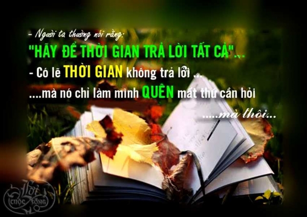 10-cau-noi-ve-cuoc-song-hay-y-nghia-dang-suy-ngam-nhat-dinh-se-khien-ban-song-tot-hon-moi-ngay-6