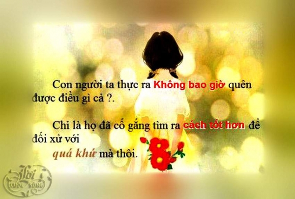 10-cau-noi-ve-cuoc-song-hay-y-nghia-dang-suy-ngam-nhat-dinh-se-khien-ban-song-tot-hon-moi-ngay-8