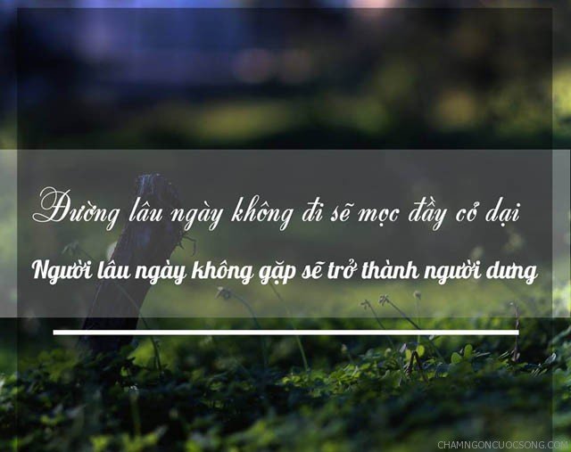 12-cau-noi-ve-cuoc-song-hay-bang-hinh-anh-ma-ban-khong-nen-bo-qua-10