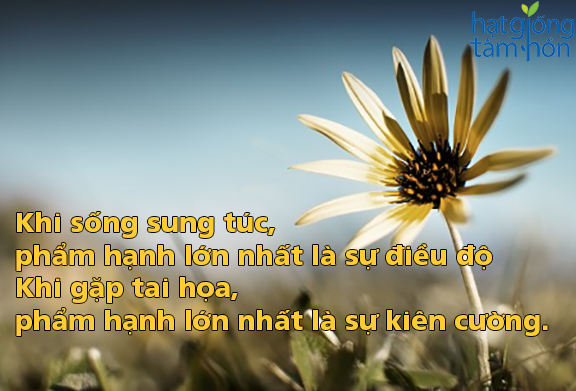 12-cau-noi-ve-cuoc-song-hay-bang-hinh-anh-ma-ban-khong-nen-bo-qua-12