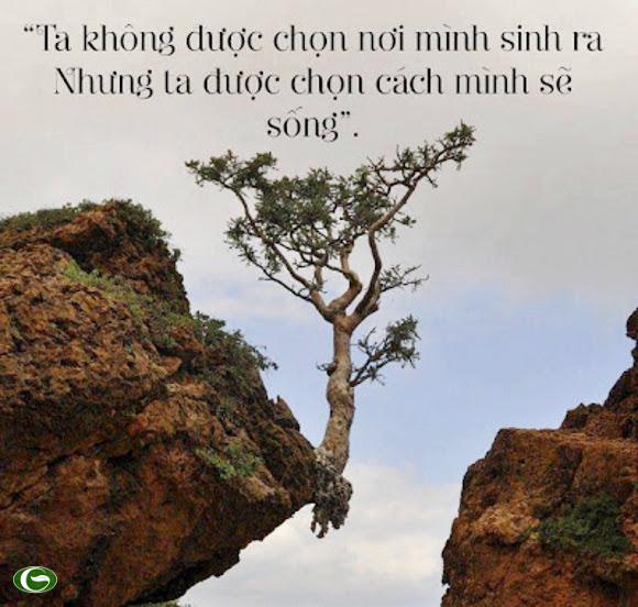 12-cau-noi-ve-cuoc-song-hay-bang-hinh-anh-ma-ban-khong-nen-bo-qua-4