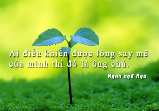 12-cau-noi-ve-cuoc-song-hay-bang-hinh-anh-ma-ban-khong-nen-bo-qua-6