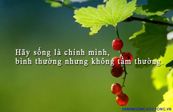 18-cau-noi-tuyet-hay-giup-ban-thay-doi-cach-nhin-ve-moi-van-de-trong-cuoc-song-1