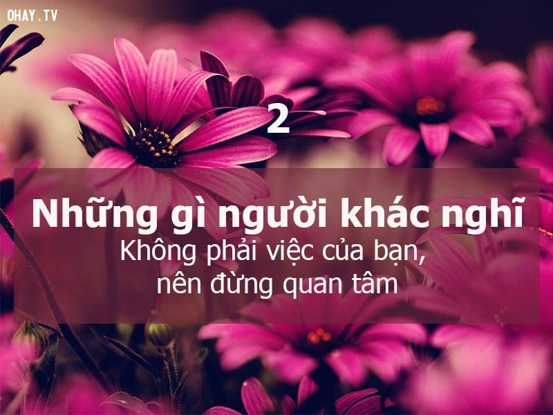 7-nguyen-tac-cot-loi-hay-tinh-te-y-nghia-trong-cuoc-song-se-giup-ban-tro-nen-thanh-cong-hanh-phuc-hon-2