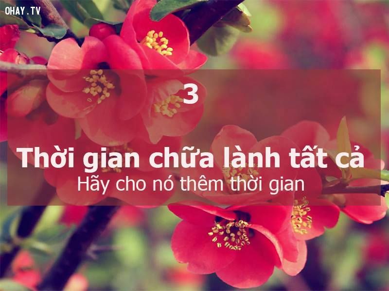 7-nguyen-tac-cot-loi-hay-tinh-te-y-nghia-trong-cuoc-song-se-giup-ban-tro-nen-thanh-cong-hanh-phuc-hon-3