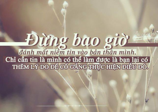 nhung-cau-cham-ngon-hay-y-nghia-ve-cuoc-song-dang-de-suy-ngam-4