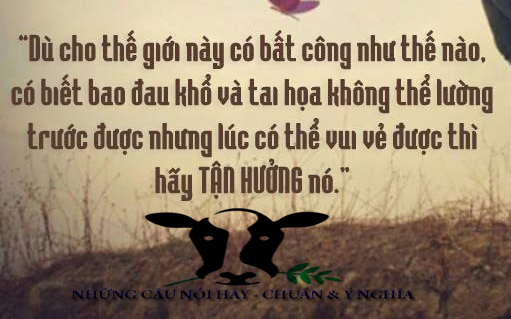 nhung-cau-cham-ngon-ve-cuoc-song-hay-tron-ven-y-nghia-cho-moi-ngay-cua-ban-them-hanh-phuc-4