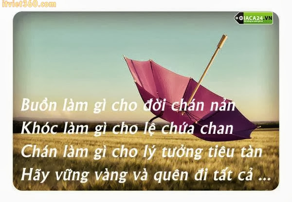 nhung-cau-noi-hay-nhung-buon-ve-tinh-yeu-tan-vo-khien-ai-cung-cam-thay-tiec-nuoi-7