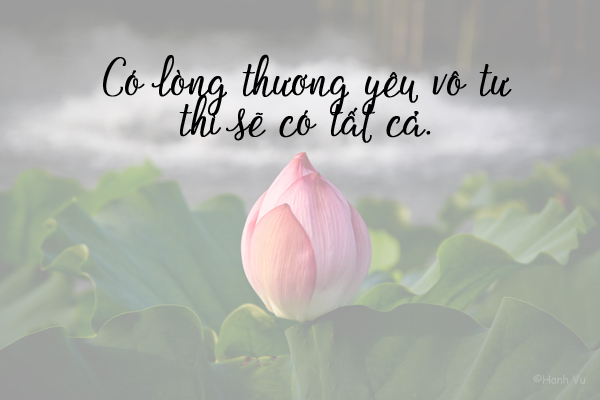 nhung-cau-noi-hay-ve-cuoc-song-khong-the-bo-qua-bang-hinh-anh-hoa-sen-10