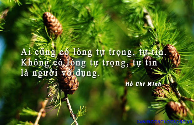 nhung-cau-noi-hay-ve-long-tu-trong-trong-cuoc-song-dang-doc-dang-suy-ngam-nhat-1