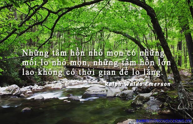 nhung-cau-noi-hay-ve-long-tu-trong-trong-cuoc-song-dang-doc-dang-suy-ngam-nhat-12