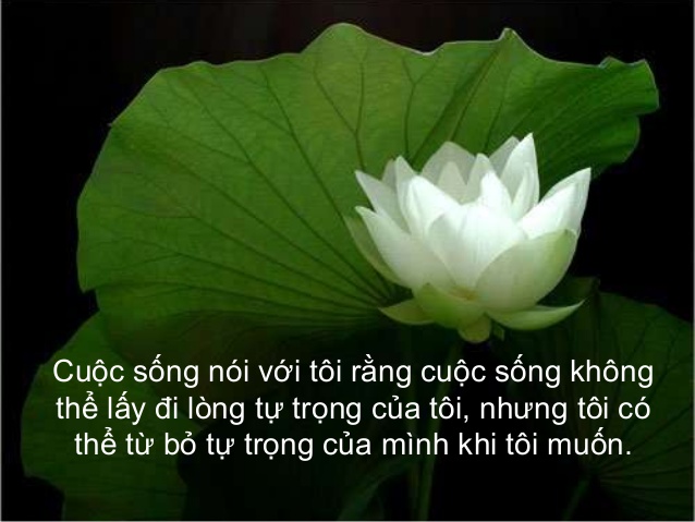 nhung-cau-noi-hay-ve-long-tu-trong-trong-cuoc-song-dang-doc-dang-suy-ngam-nhat-4