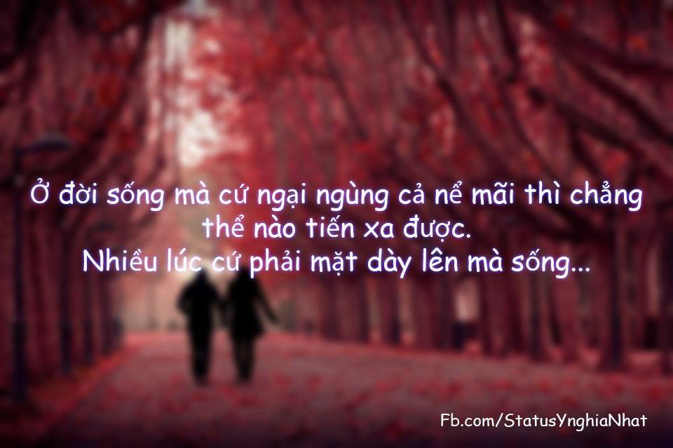 nhung-cau-noi-hay-ve-long-tu-trong-trong-cuoc-song-dang-doc-dang-suy-ngam-nhat-9