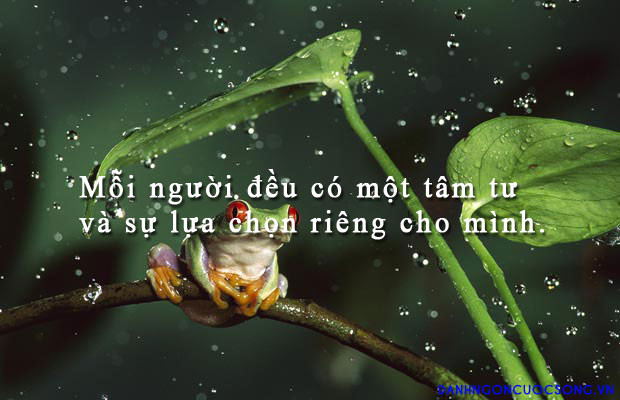 nhung-cau-noi-hay-ve-nhung-su-lua-chon-trong-cuoc-song-khien-ai-cung-gat-gu-tam-dac-3