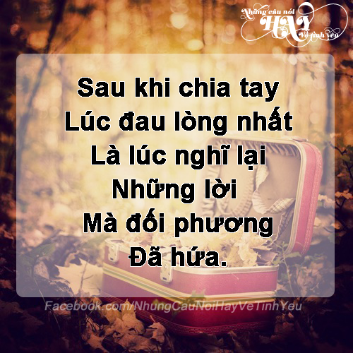 nhung-cau-noi-hay-ve-tinh-yeu-buon-dang-nho-dang-suy-ngam-10