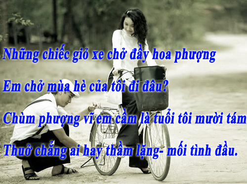 nhung-cau-noi-hay-ve-tinh-yeu-tuoi-hoc-tro-trong-sang-tuoi-dep-chac-chan-ban-se-thich-5