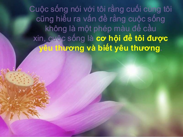 nhung-cau-noi-sieu-hay-ve-cuoc-song-va-con-nguoi-nhat-dinh-ban-phai-doc-qua-mot-lan-trong-doi-1