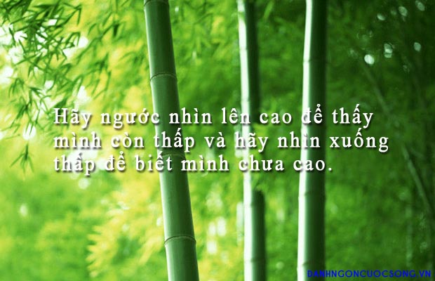 nhung-cau-noi-ve-cuoc-song-hay-an-tuong-manh-me-nhat-dinh-se-mang-den-niem-tin-cho-ban-11