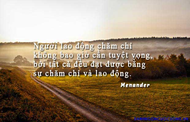 nhung-cau-noi-ve-cuoc-song-hay-an-tuong-manh-me-nhat-dinh-se-mang-den-niem-tin-cho-ban-5