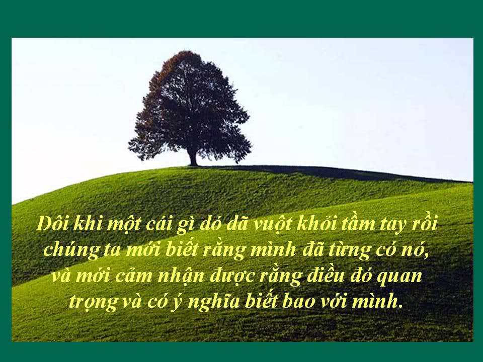 nhung-cau-noi-ve-cuoc-song-hay-thu-vi-y-nghia-nhat-khien-ban-cam-thay-the-gioi-dieu-ky-hon-moi-ngay-1