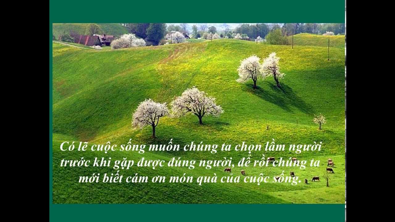 nhung-cau-noi-ve-cuoc-song-hay-thu-vi-y-nghia-nhat-khien-ban-cam-thay-the-gioi-dieu-ky-hon-moi-ngay-3