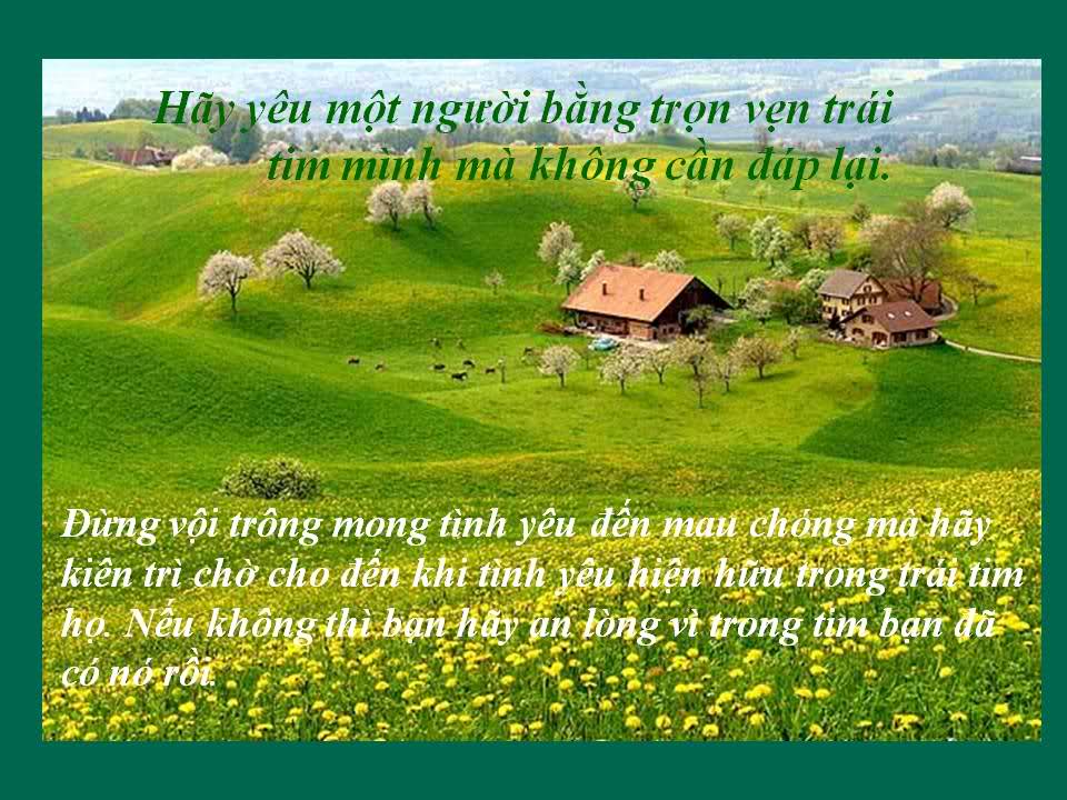 nhung-cau-noi-ve-cuoc-song-hay-thu-vi-y-nghia-nhat-khien-ban-cam-thay-the-gioi-dieu-ky-hon-moi-ngay-5