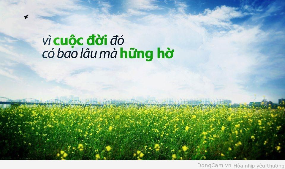 nhung-cau-noi-ve-cuoc-song-hay-thu-vi-y-nghia-nhat-khien-ban-cam-thay-the-gioi-dieu-ky-hon-moi-ngay-7