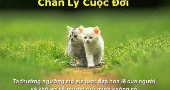 Những câu nói về cuộc sống hay tuyệt vời mà người trẻ nào cũng nên ghi nhớ-2