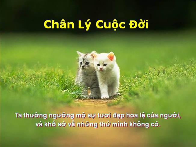 nhung-cau-noi-ve-cuoc-song-hay-tuyet-voi-ma-nguoi-tre-nao-cung-nen-ghi-nho-2