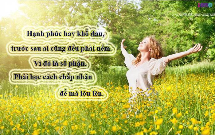 nhung-cau-noi-ve-cuoc-song-hay-y-nghia-dang-doc-nhat-dinh-se-day-cho-ban-nhieu-dieu-10