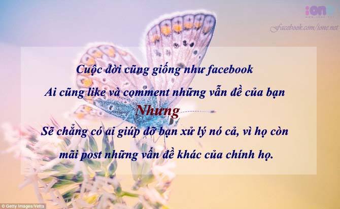 nhung-cau-noi-ve-cuoc-song-hay-y-nghia-dang-doc-nhat-dinh-se-day-cho-ban-nhieu-dieu-7