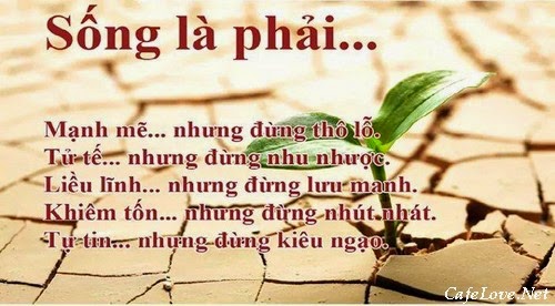 nhung-cau-noi-ve-cuoc-song-moi-ngay-hay-y-nghia-chan-thanh-nhat-ma-ban-nen-biet-3