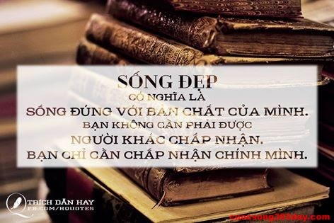 nhung-cau-noi-ve-cuoc-song-moi-ngay-hay-y-nghia-chan-thanh-nhat-ma-ban-nen-biet-6