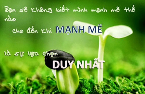 nhung-cau-noi-ve-cuoc-song-sieu-hay-sieu-y-nghia-giup-ban-co-dong-luc-vuot-qua-moi-kho-khan-5