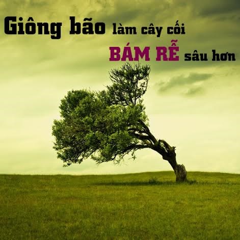 nhung-cau-noi-ve-cuoc-song-sieu-hay-sieu-y-nghia-giup-ban-co-dong-luc-vuot-qua-moi-kho-khan-6