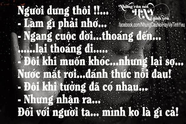 nhung-status-ve-tinh-yeu-don-phuong-sieu-buon-sieu-dung-tam-trang-nhat-dinh-se-mang-den-cho-ban-su-an-ui-to-lon-1